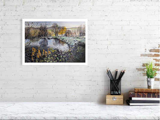 The Pond
