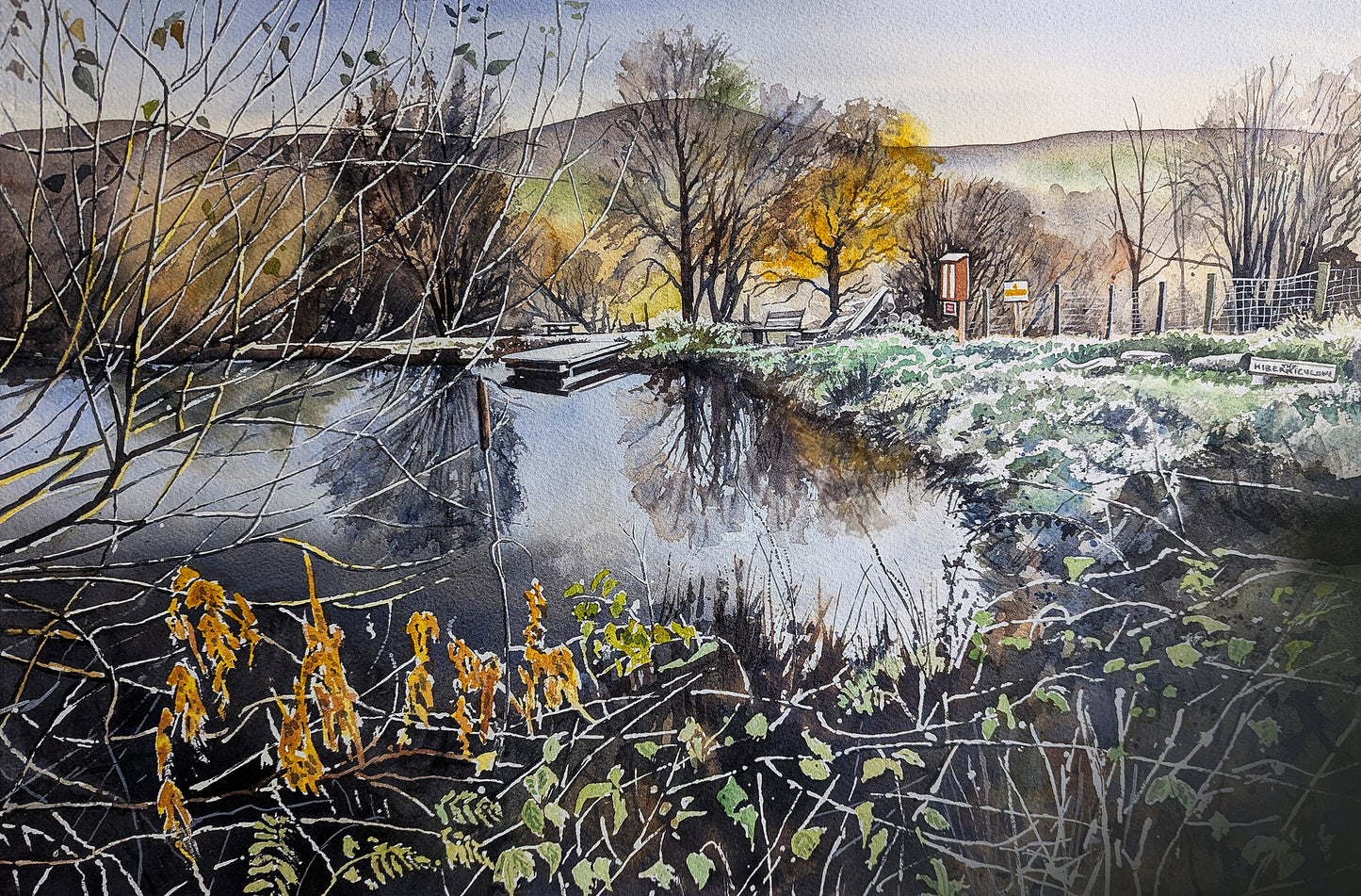The Pond