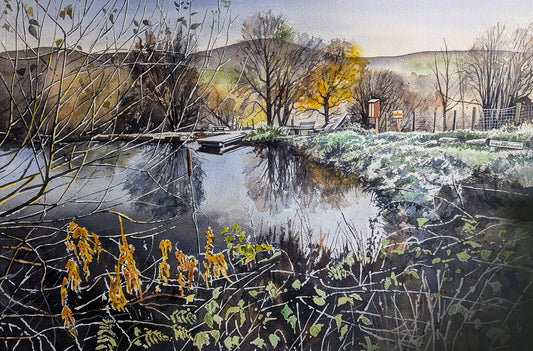 The Pond